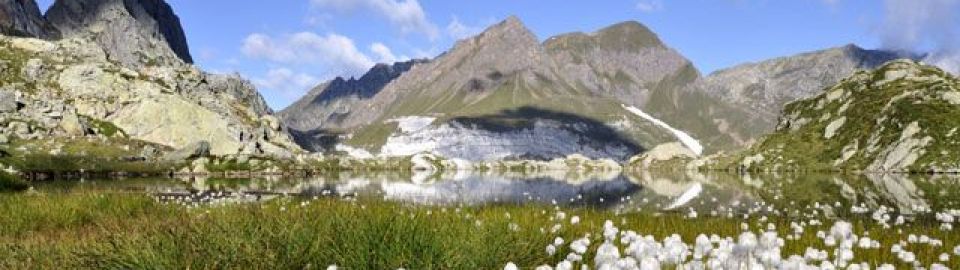 Erifori e dolomia al Leìt 2260m